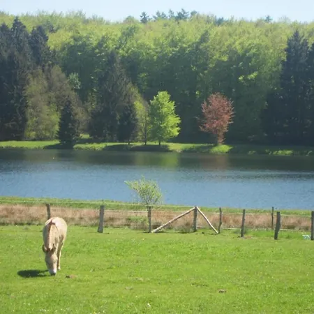Luxurious In Houffalize With Sauna *
