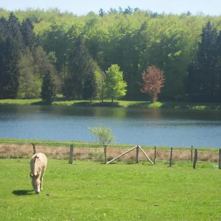Houffalize Forest View Villa