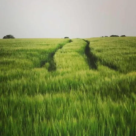 Houffalize Forest View * Wibrin