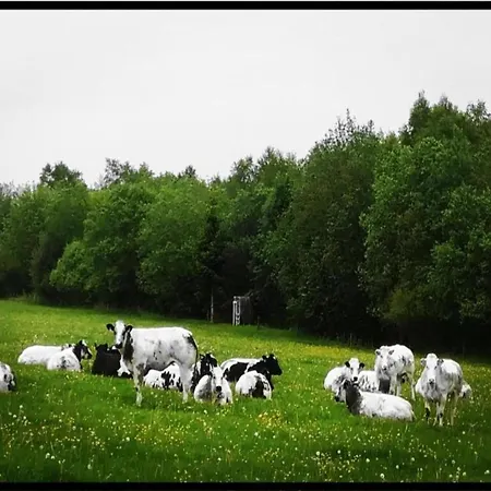 빌라 Houffalize Forest View *