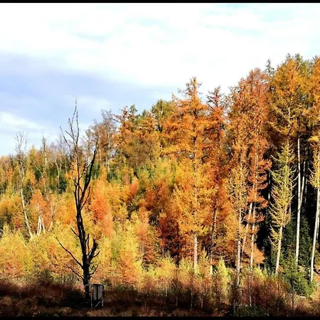 빌라 Houffalize Forest View 위브린