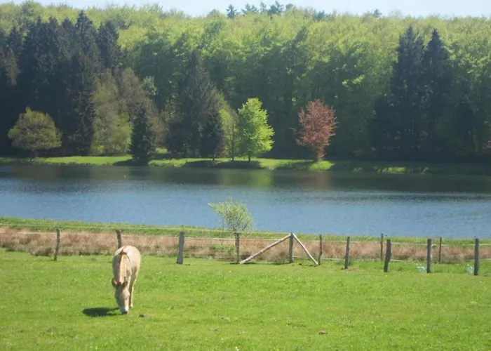 Houffalize Forest View Villa