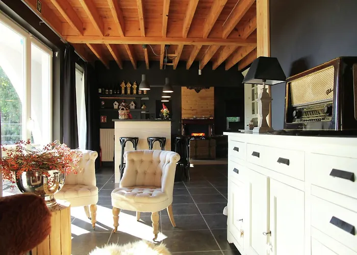 Houffalize Forest View