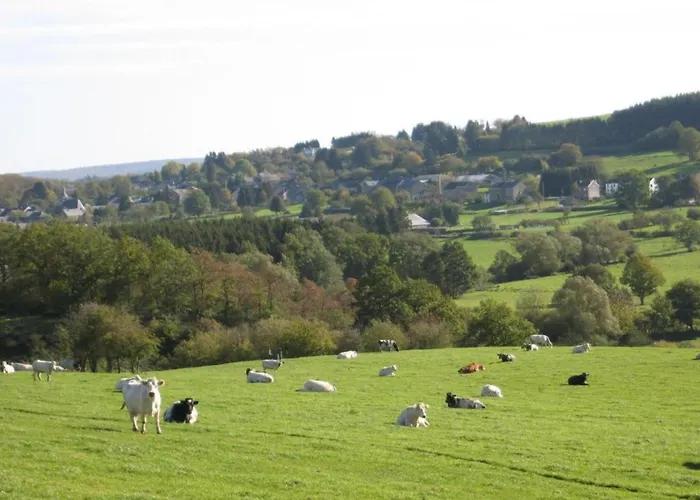 Houffalize Forest View Villa *