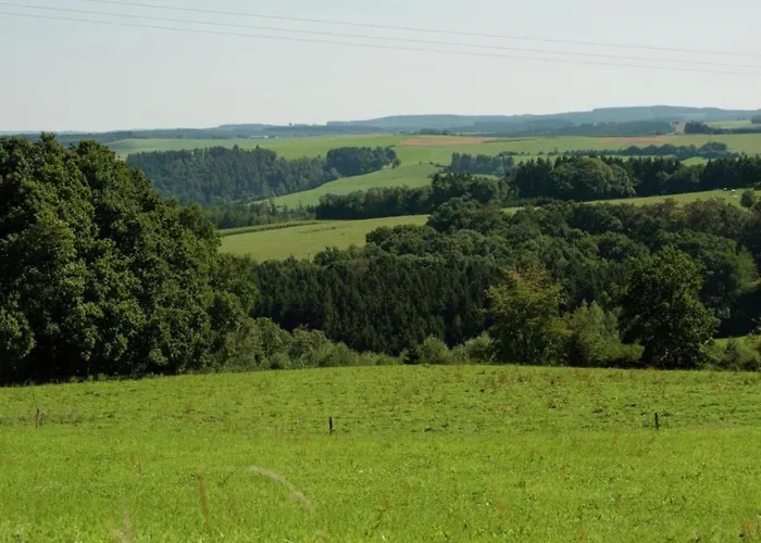 Houffalize Forest View Villa *