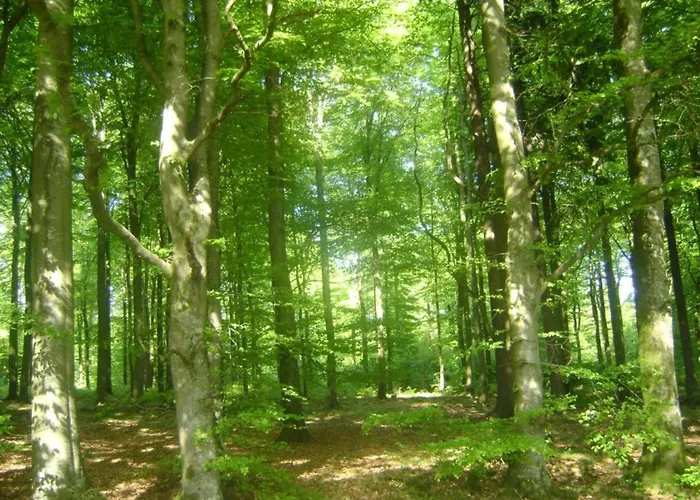 Βίλα Houffalize Forest View Wibrin