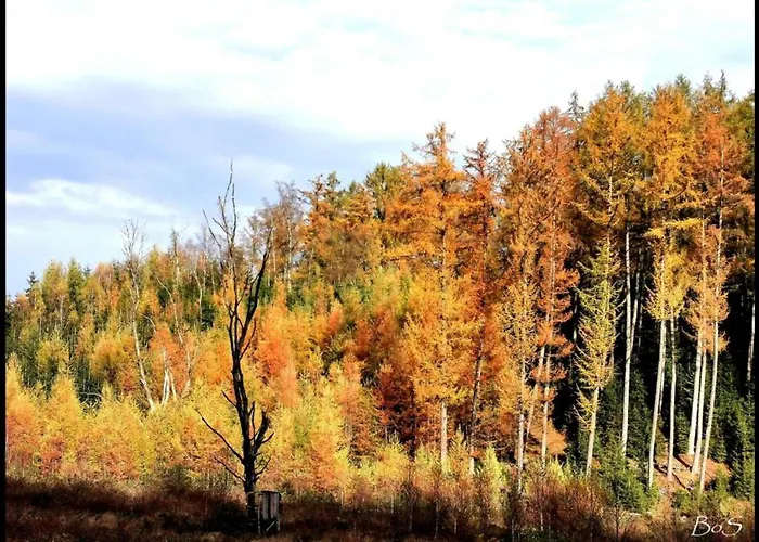 Βίλα Houffalize Forest View Wibrin